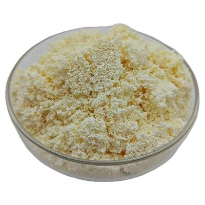 D890除硝酸盐亚硝酸盐专用树脂 强碱阴树脂选择性去除水中硝酸盐