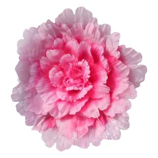 成长在祖国的怀抱里手捧牡丹花运动会入场创意道具手拿花舞蹈道具