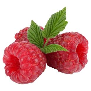 树莓苗 红树莓 黄树莓黑莓哈瑞太兹金秋落晚先生多品种家庭水果苗