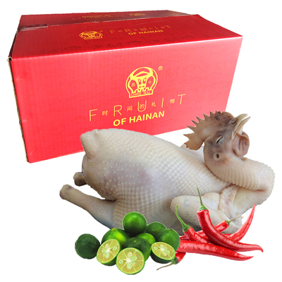 海南文昌椰子鸡糟粕醋鸡新鲜直达