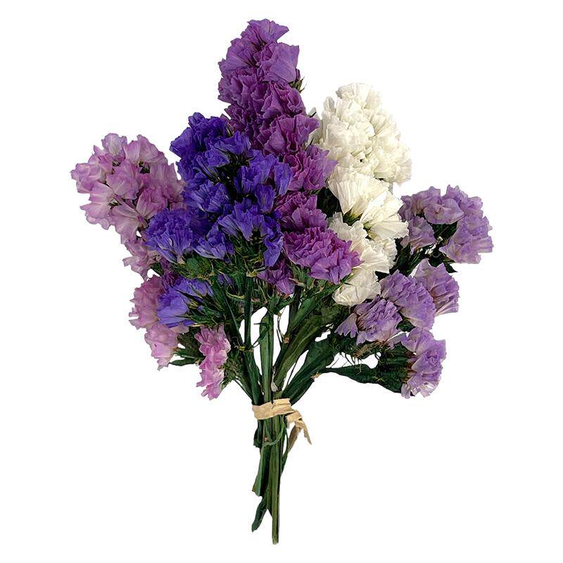 勿忘我干花diy盒装花材民宿拍照道具摆件保鲜花云南直发永生花