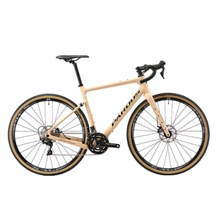 PARDUS瑞豹飓风URAGANO SPORT瓜车gravel砾石公路车碳纤维长途