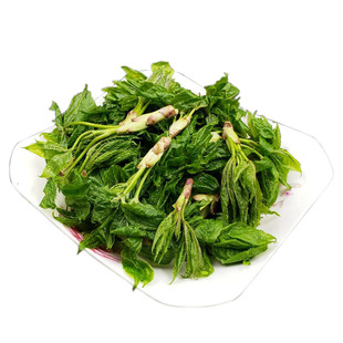 长白山野菜刺五加叶嫩芽东北坎拐棒子老虎潦新鲜山菜500g2斤包邮