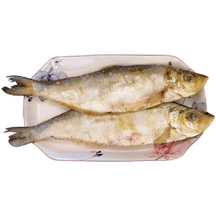 宁波正宗三刨霉鳓鱼500g咸力鱼白鳞鱼咸鱼干梅香鱼咸鳓鱼臭香力鱼