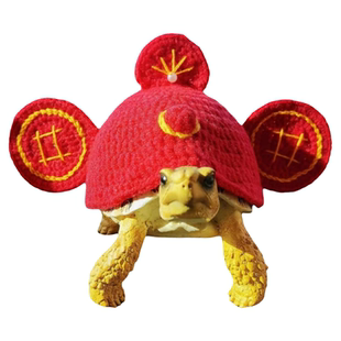 新款乌龟衣服宠物用品定制保暖冬眠可爱陆龟水龟豹龟巴西龟草龟