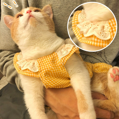 8 яиц/笣棰 嗕 嗕 嗕 濆疂 鏄ュ 瀛 瀛 瀛 绾 绾ns 椋炶 鐚 挭镫 嫍瀹 犵墿 犵墿 犵墿 f 湇杩 炶 湇杩 湇杩 湇杩Мрачный