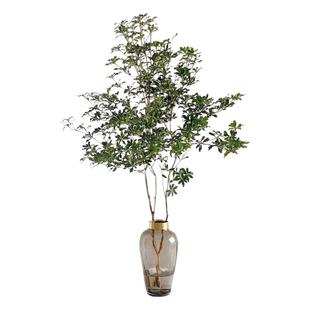 日本进口马醉木水培植物鲜切美男树吊钟枝条室内客厅绿植盆栽水养