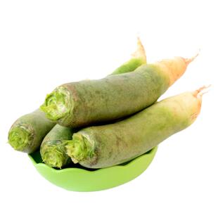 山东寿光正宗潍坊水果萝卜种籽子潍县青头青罗卜沙窝甜冰糖心大全