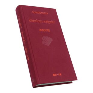 现货 极度疼痛 Douleur exquise 港台原版 苏菲卡尔 Sophie Calle 法国当代艺术教母 大家出版 摄影作品集 精装