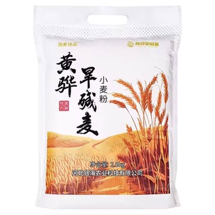 黄骅旱碱麦面粉 无添加高筋小麦粉 蒸馒头面花包子包饺子多种面食