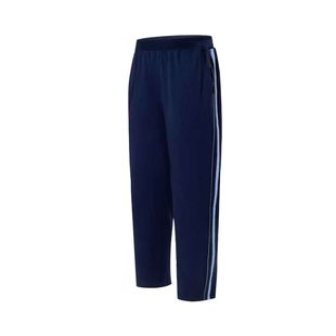 江西省南昌市统一校服套装中小学生夏季运动风POLO衫班服蓝色