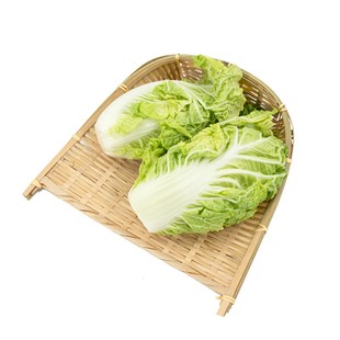 东升农场 东升银丝王菜 青菜 广州新鲜蔬菜配送 300g