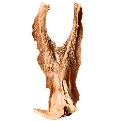 分心木中药材500g核桃壳隔心木