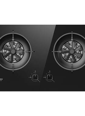 前锋双灶5.2kw火力家用天然气