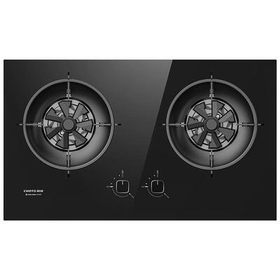 前锋双灶5.2kw火力家用天然气