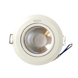 飞利浦RS100B LED射灯3W6W9W20W27W嵌入式牛眼COB服装背景墙射灯