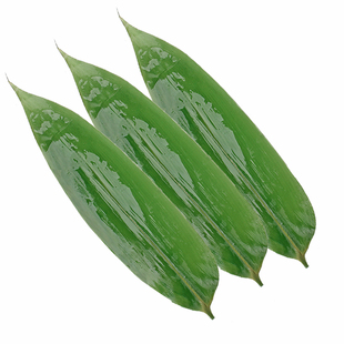 粽子叶粽叶新鲜大免邮棕叶野生特大号箬叶包粽子粽叶干真空新货叶