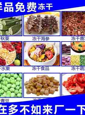 家用冻干设备食品真空冷冻液体蔬菜水果肉类宠物食品小型冻干机器