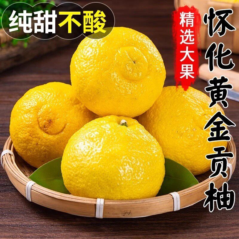 【产地助农】象山青湘西岩陇黄金贡柚当季新鲜水果正宗怀化纯甜多