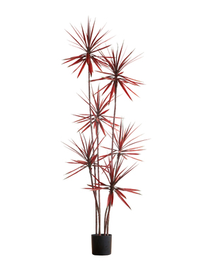 大型仿真绿植盆栽假植物龙舌兰