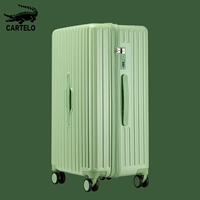 Авокадо Грин