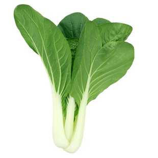 玉美人黑叶奶白菜种子黑叶白杆奶油白菜种四季阳台盆栽青菜油菜籽