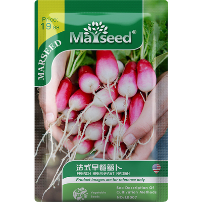 传家宝清脆好吃早餐萝卜种子