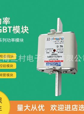 全新熔断器保险丝NH000GG40V25/F223680 NH000GG40V32/G223681