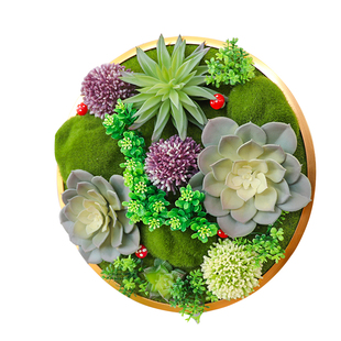 圆形装饰品绿植框壁挂花阳台挂件挂墙植物墙面装饰简约卧室田园风