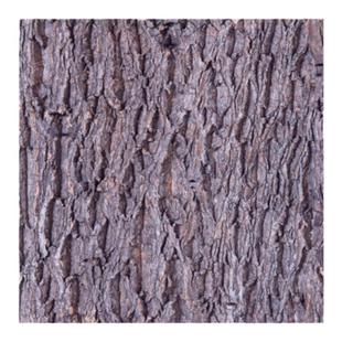 天然真树皮香槟软木树皮爬宠鱼缸装饰造景植物墙背景装饰墙面树皮