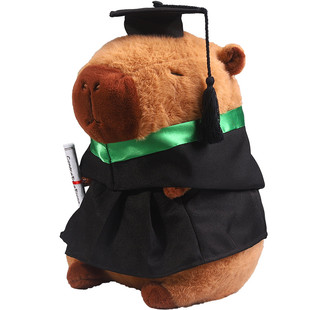 正版卡皮巴拉毕业公仔水豚卡比吧啦学士服玩偶香港大学礼物男女生