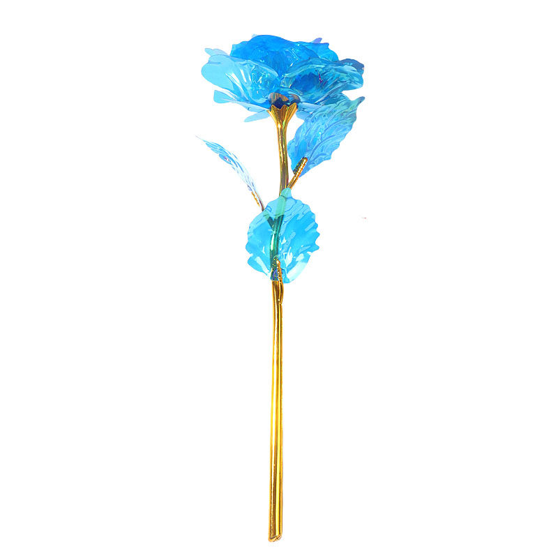 炫彩永生花圣诞节小礼物小礼品