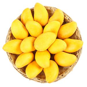 海南小台农芒果10斤新鲜水果小台芒应当季整箱应热带特产大果包邮
