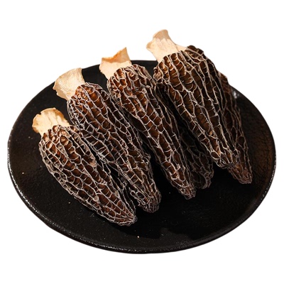 北海印象羊肚菌食用菌当季羊肚菇煲汤新货特产菌菇500g厚实无硫