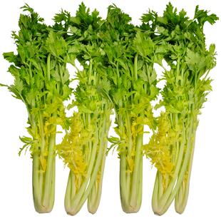 【顺丰快递】美邻惠享家新鲜桂河芹菜香芹脆嫩无渣山东蔬菜