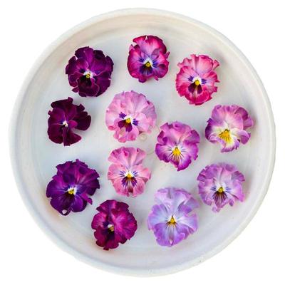 日本进口皱边角堇种子