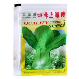 四季上海青种子小白菜黑叶油菜籽蔬菜种孑阳台盆栽南方菜籽苏州青