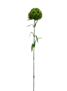 仿真绿石竹花束绿植桌面插花摆件