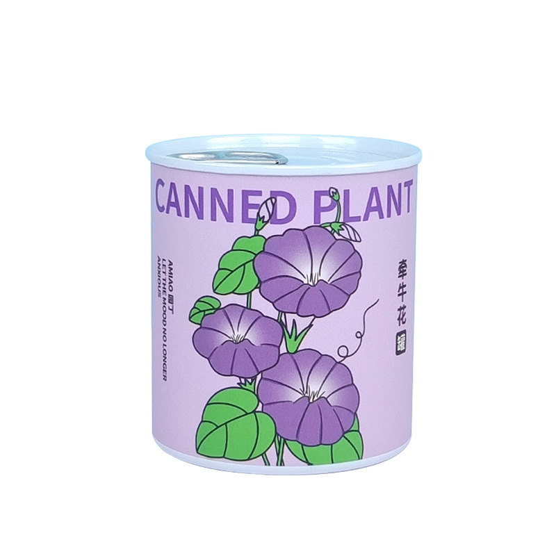 驱蚊薄荷牵牛花雏菊种子罐头办公室情绪稳定桌面创意种植小花盆栽