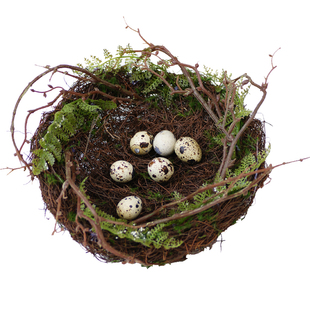 手工藤编草窝鸟窝装饰鸟笼鸟巢仿真鸟窝拍照道具户外小鸟窝鹦鹉窝