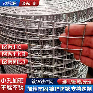 镀锌钢丝网围栏网鸡鸭鹅兔鸟笼养殖网鼠蛇防护网养殖网格网铁丝网