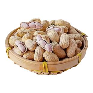 (精选花生)河源特产水煮咸干花生太阳晒干软糯鲜香甜优质坚果类