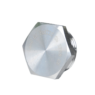 蓝江LAND 304防爆不锈钢六角闷盖Ex防水堵头闷头螺纹塞头M牙NPT牙