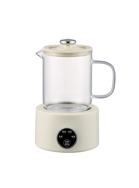 养生壶多功能家用小型花茶煮茶器