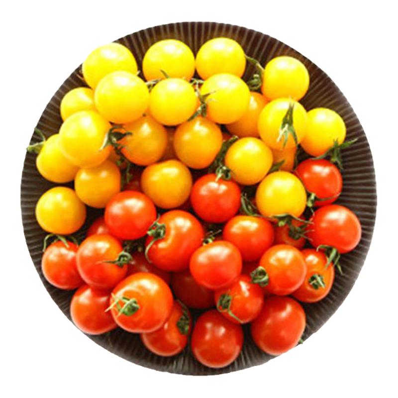 YIKECAI 樱桃小番茄400g/盒 红黄圣女果新鲜蔬菜水果西红柿