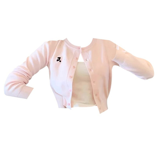 2024秋季新款韩国东大门刺绣小标短款针织外套纯色收腰小众开衫女