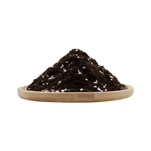 草莓专用土营养土盆栽种植土泥土蔬菜种菜育苗土壤阳台肥料通用