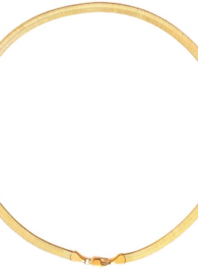 欧美式ins冷淡风时髦镀金蛇骨链