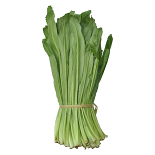 云南香菜1斤大香菜云南蔬菜四季种植缅甸刺芹芫荽野菜绿植