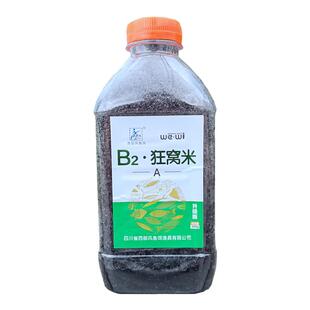 西部风升级版B2狂窝米野钓打窝料水库池塘江河湖泊底窝钓鲫鱼酒米